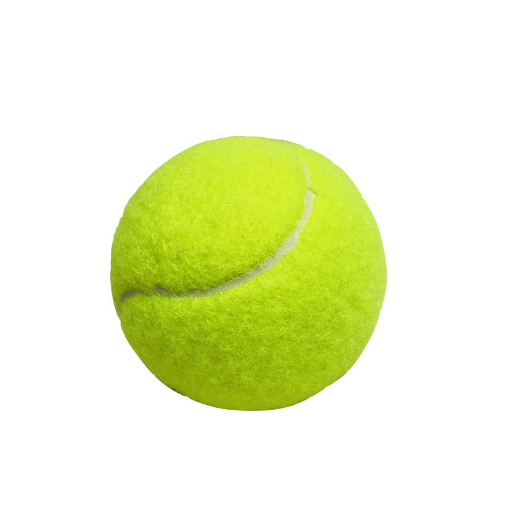 Jouet pour chien - Vieille Balle de Tennis - Gros Chien